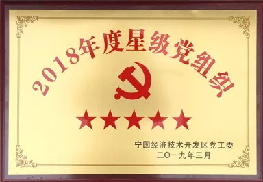 2018年度五星级党组织