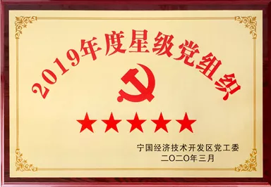 2019年度五星级党组织