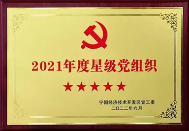 2021年度星级组织
