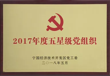 2017年度五星级党组织