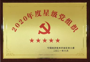 2020年度五星级党组织