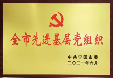 全市先进基层党组织