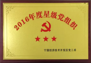 2016年度五星级党组织
