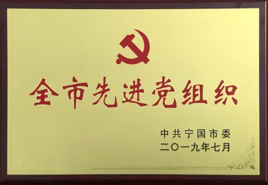 全市先进党组织