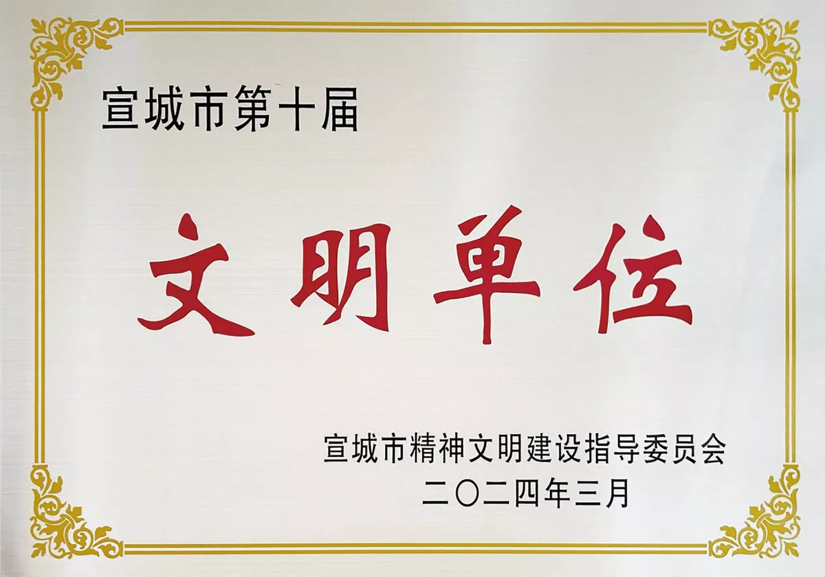 宣城市第十届文明单位